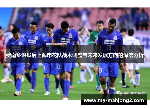 费南多退役后上海申花队战术调整与未来发展方向的深度分析 费南多退役后上海申花队战术调整与未来发展方向的深度分析